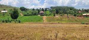 Namayumba Roadside Estate