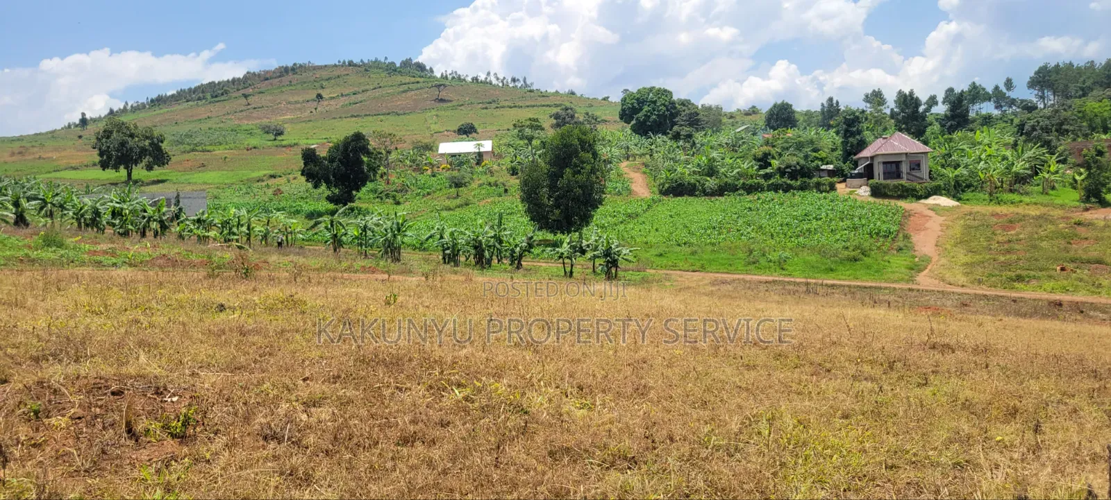 Namayumba Roadside Estate