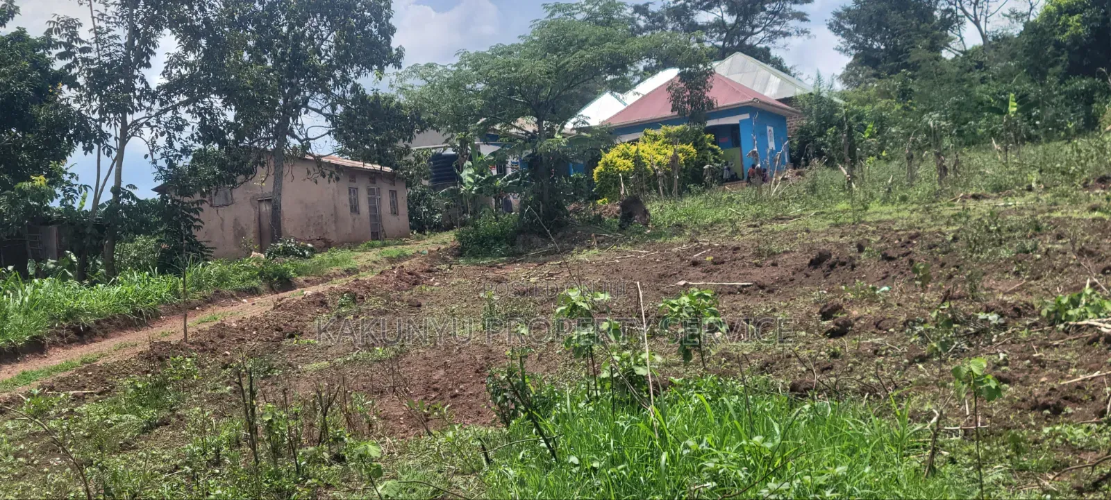 8m 50x100ft, Gobero Wakiso