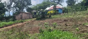 8m 50x100ft, Gobero Wakiso