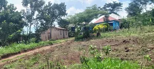 8m 50x100ft, Gobero Wakiso
