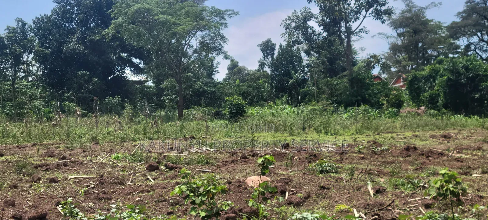 8m 50x100ft, Gobero Wakiso
