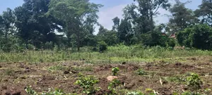 8m 50x100ft, Gobero Wakiso
