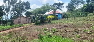 8m 50x100ft, Gobero Wakiso