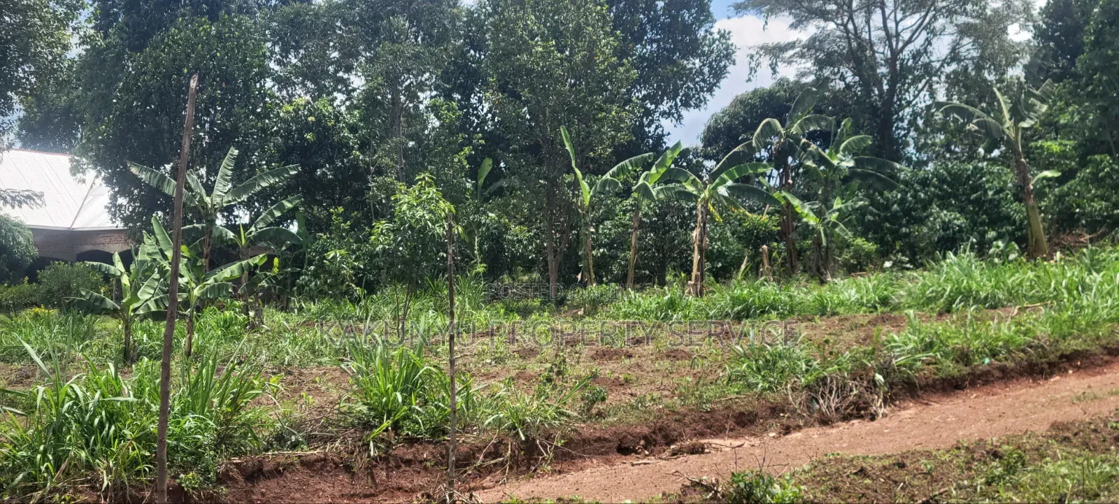 8m 50x100ft, Gobero Wakiso