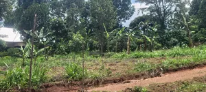 8m 50x100ft, Gobero Wakiso