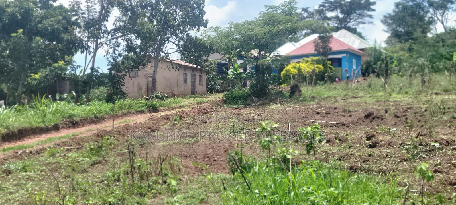 8m 50x100ft, Gobero Wakiso