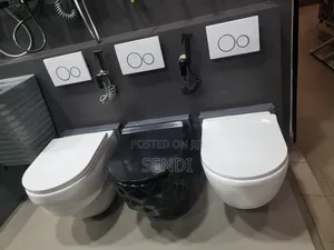 Concealed Toilet