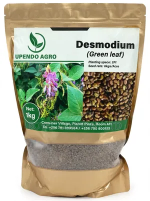 Desmodium Green Grass 1kg