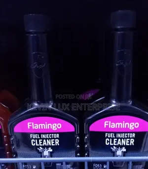 Fuel Injector Cleaner