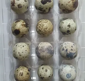 Fresh Quail Eggs