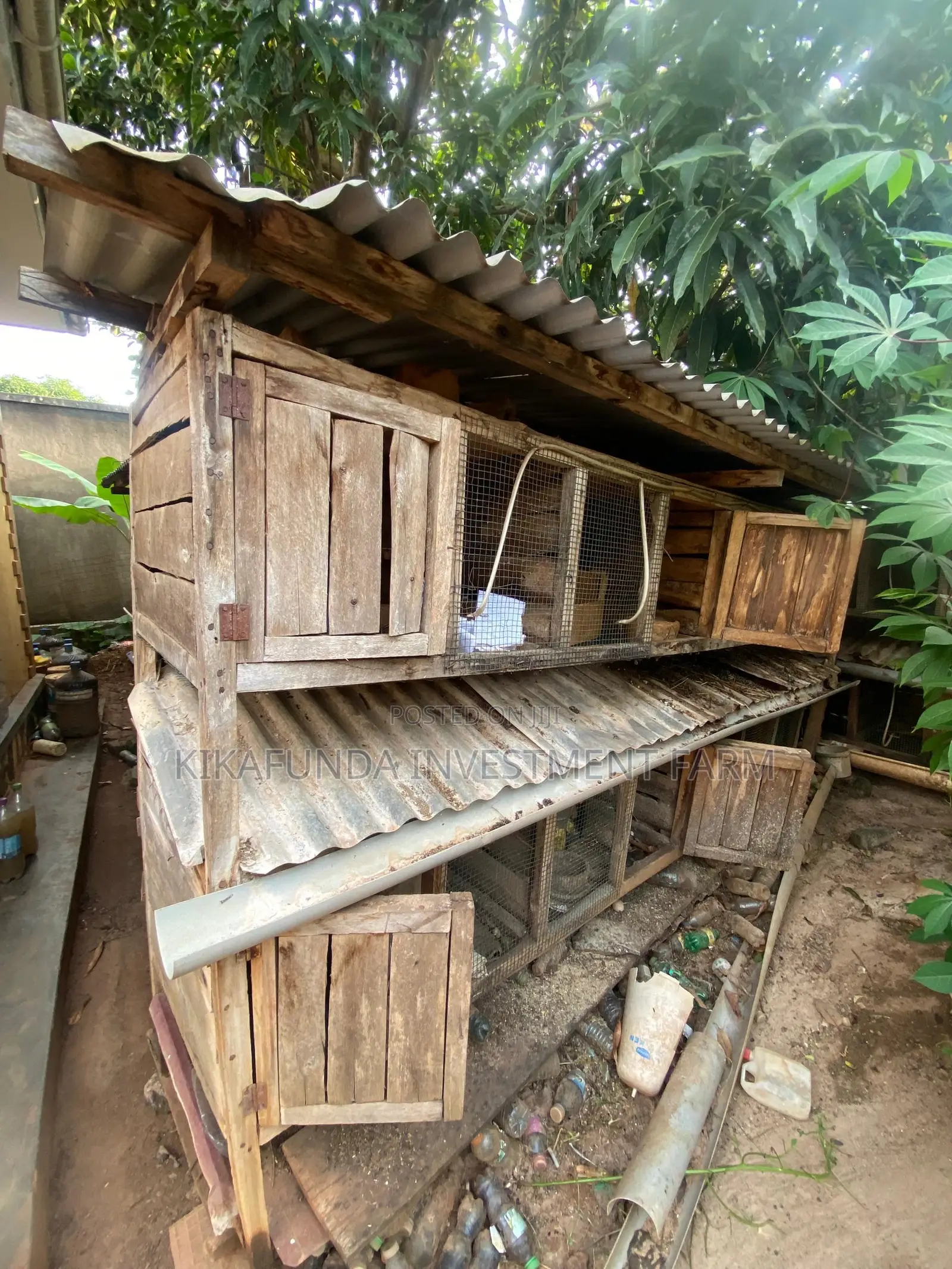 Chicken/Rabbit Cages