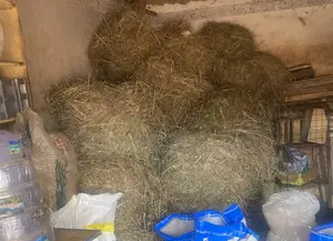 Hay Bales for Animals