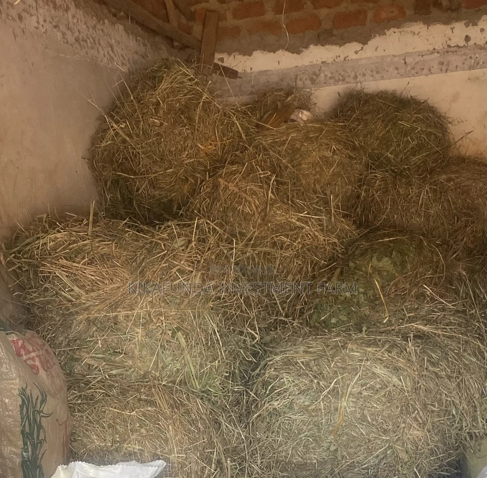 Hay Bales for Animals