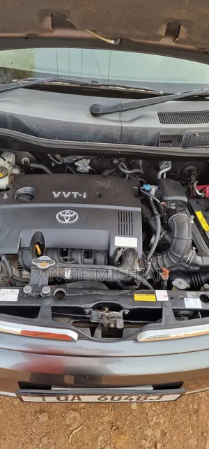 Toyota Sienta 2010 Gray