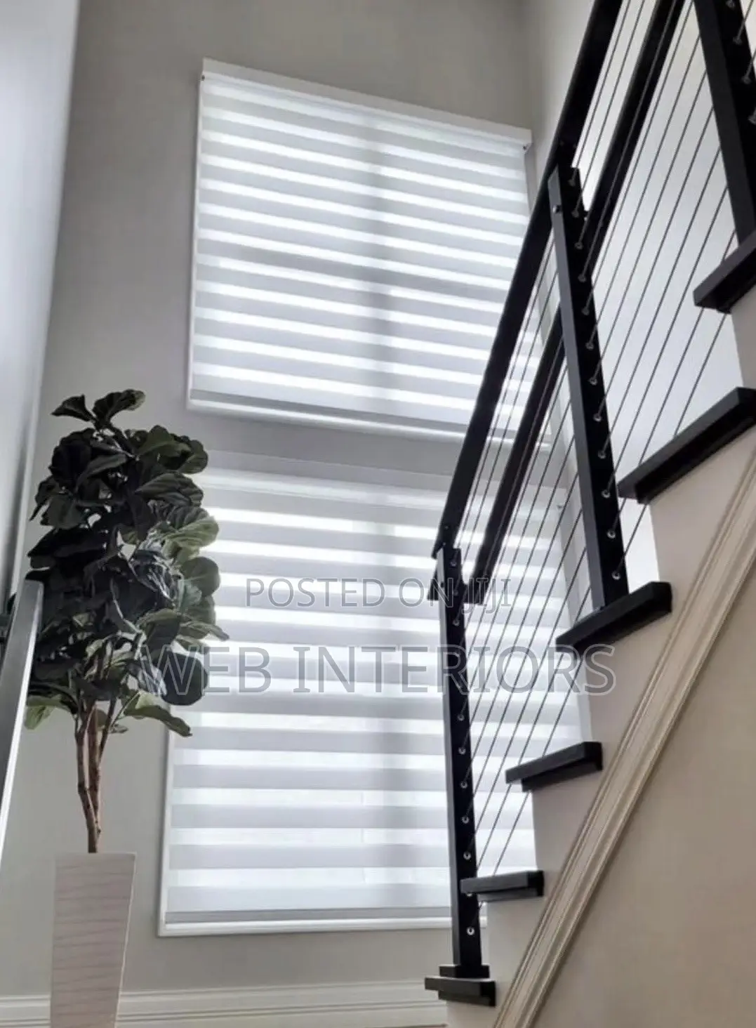 Fancy Roller Curtain Blinds