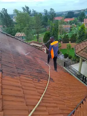 Roof Stains Cleaning in Progress