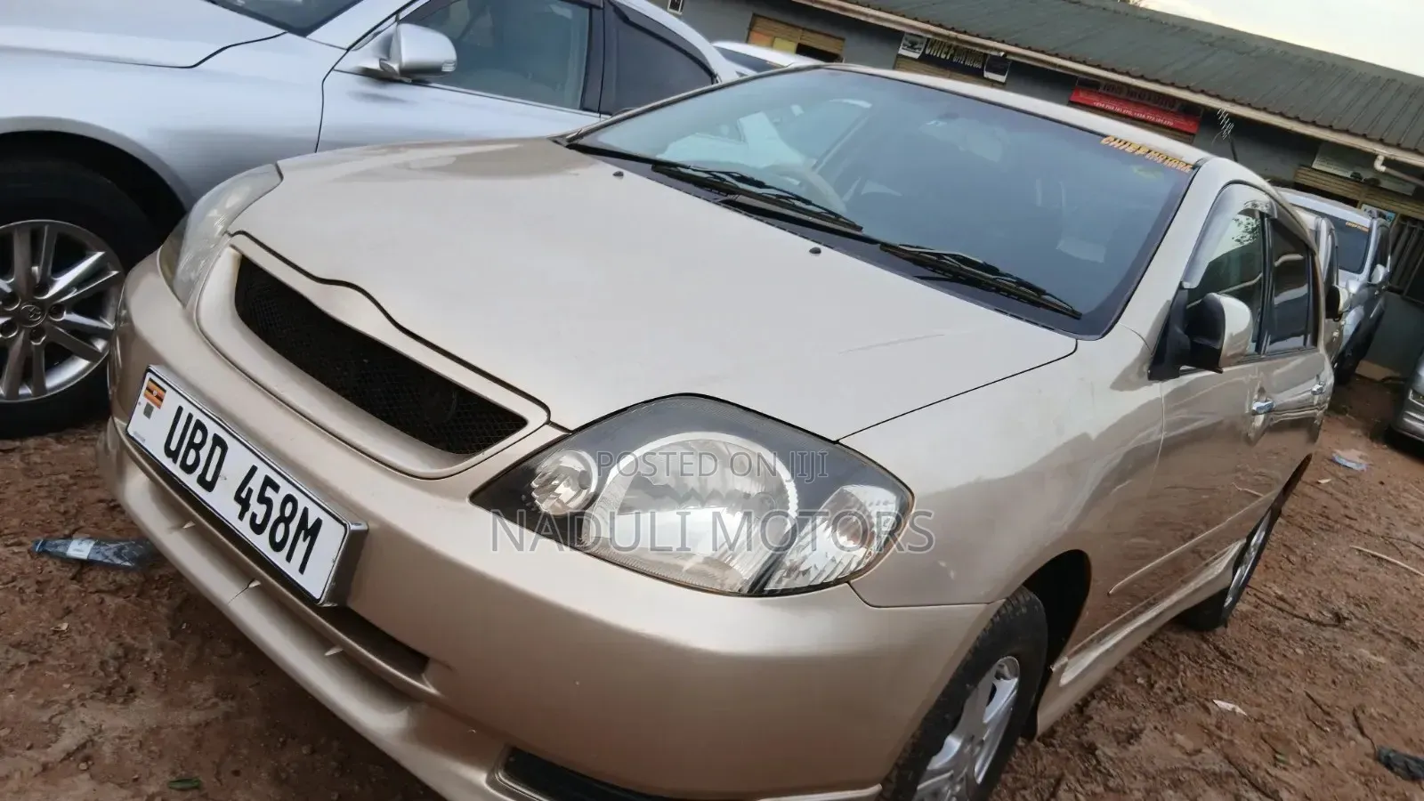 Toyota Allex 2006 Gold