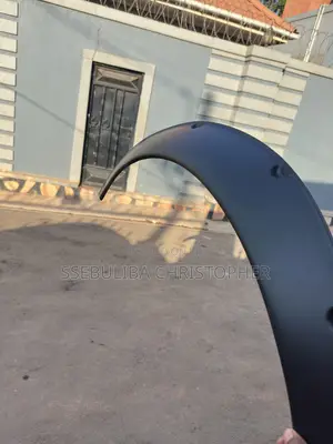 Car Fender Lips
