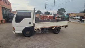 Isuzu Elf Light Truck Up for Sale