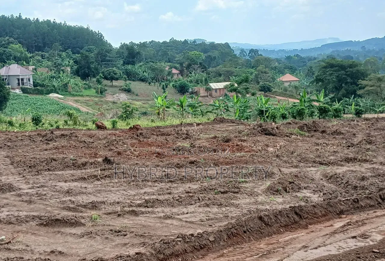 Prime Plots for Sale at Namayumba Harmony Land Estate Along Hoima Road