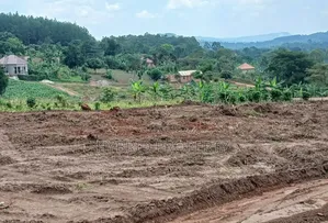 Prime Plots for Sale at Namayumba Harmony Land Estate Along Hoima Road