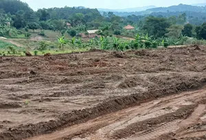 Prime Plots for Sale at Namayumba Harmony Land Estate Along Hoima Road