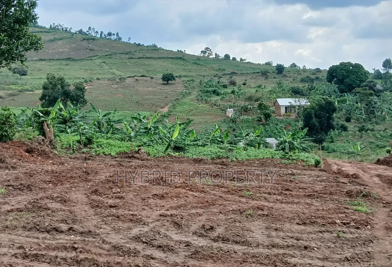 Prime Plots for Sale at Namayumba Harmony Land Estate Along Hoima Road
