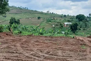 Prime Plots for Sale at Namayumba Harmony Land Estate Along Hoima Road