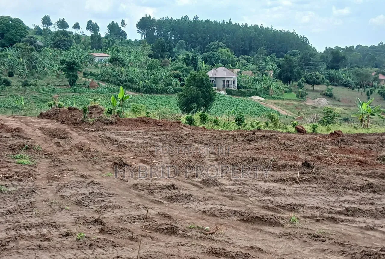 Prime Plots for Sale at Namayumba Harmony Land Estate Along Hoima Road