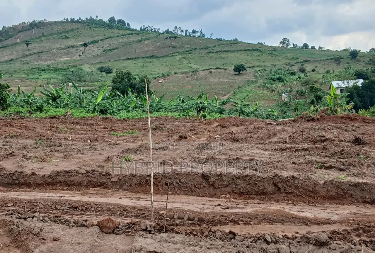 Prime Plots for Sale at Namayumba Harmony Land Estate Along Hoima Road