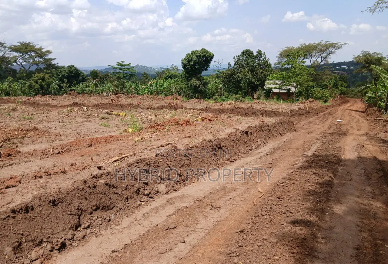 Prime Plots for Sale at Namayumba Harmony Land Estate Along Hoima Road