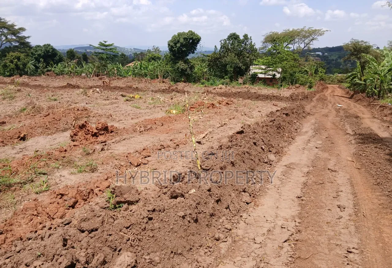 Prime Plots for Sale at Namayumba Harmony Land Estate Along Hoima Road
