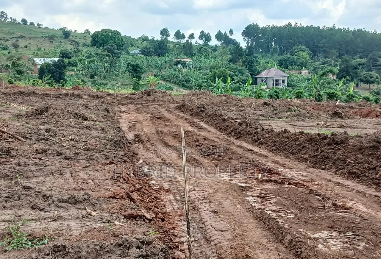 Prime Plots for Sale at Namayumba Harmony Land Estate Along Hoima Road