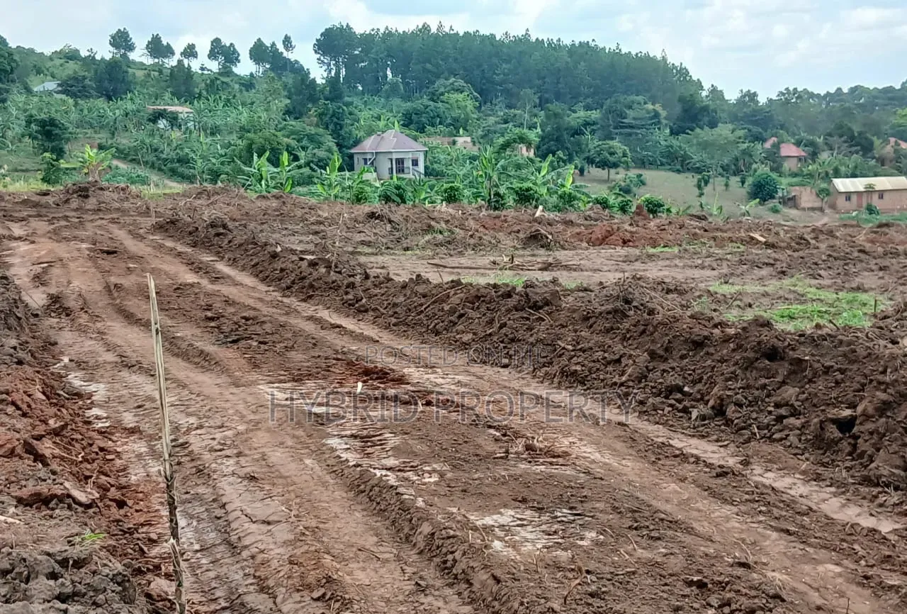 Prime Plots for Sale at Namayumba Harmony Land Estate Along Hoima Road