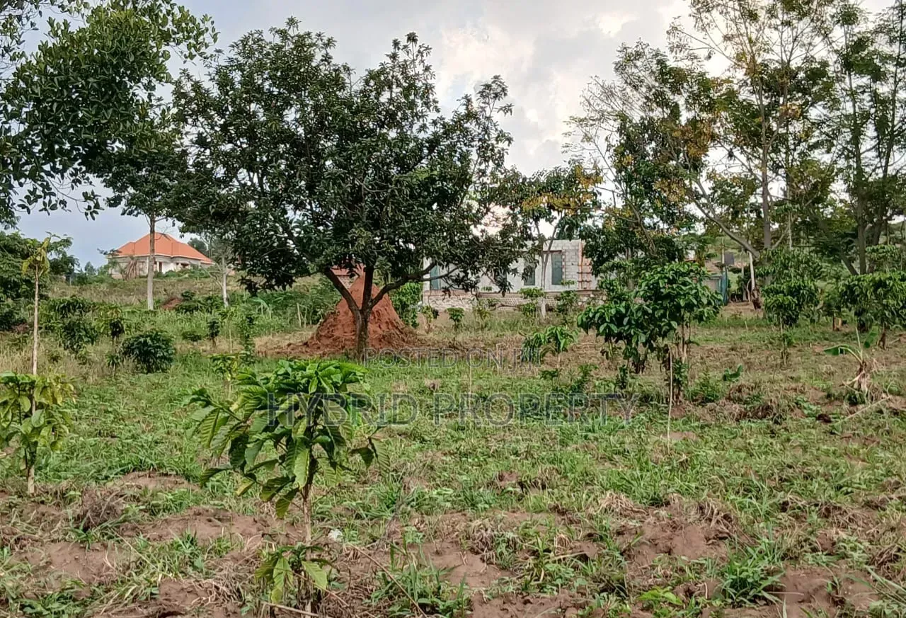 Prime Plots for Sale at Namayumba Harmony Land Estate Along Hoima Road