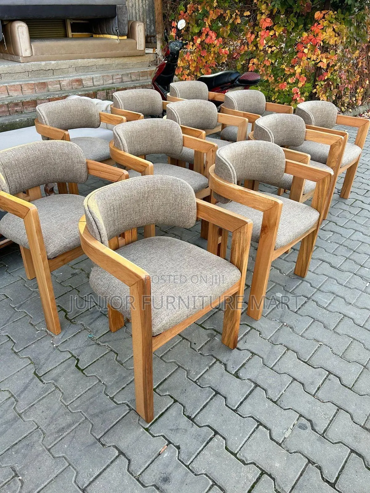 Luxurious Dinning Chairs