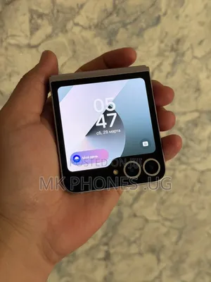 Samsung Galaxy Z Flip5 256 GB Gray