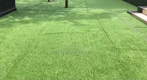 Glass Carpets