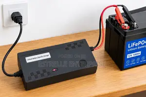 14.6V 22A Lithium Battery Charger -12v Lithium Charger