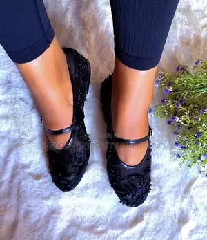 Zara Beaded Mesh Mary Jane Flat Shoes