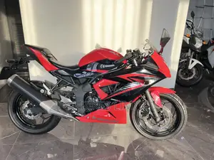 Kawasaki KX250 2012 Red