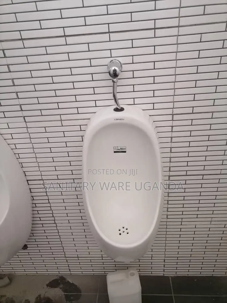 Urinal Bowel