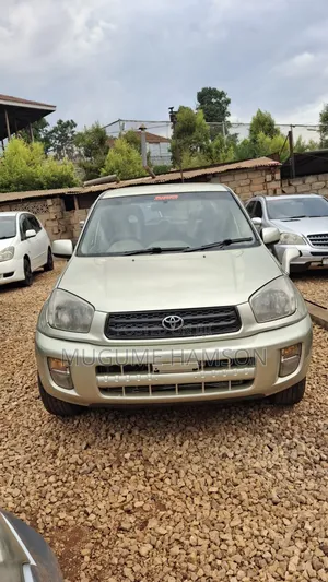 Toyota RAV4 2002 Silver