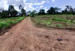 Prime Plots for Sale at Gobero~Kasude Kakiri Land Estate~Hoima Road.