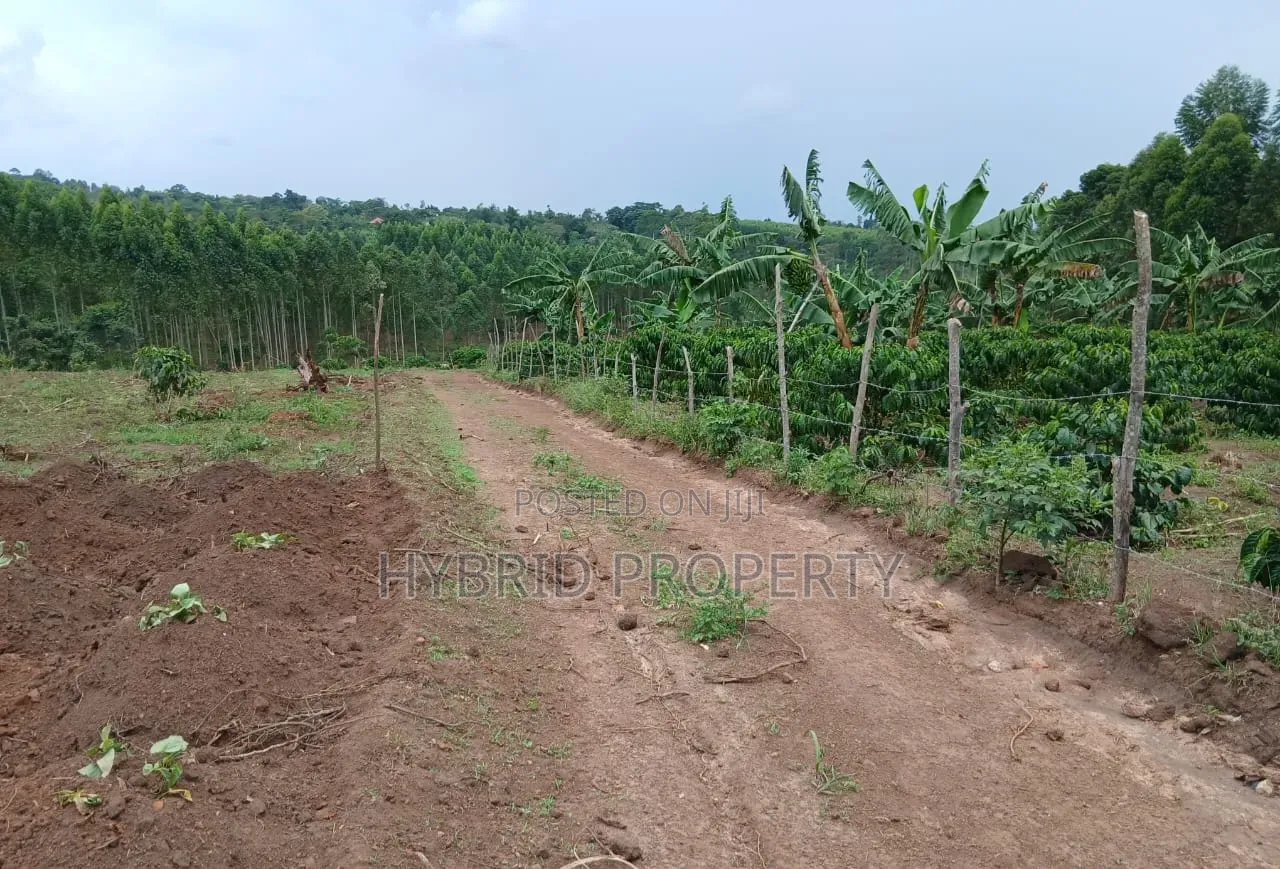 Prime Plots for Sale at Gobero~Kasude Kakiri Land Estate~Hoima Road.