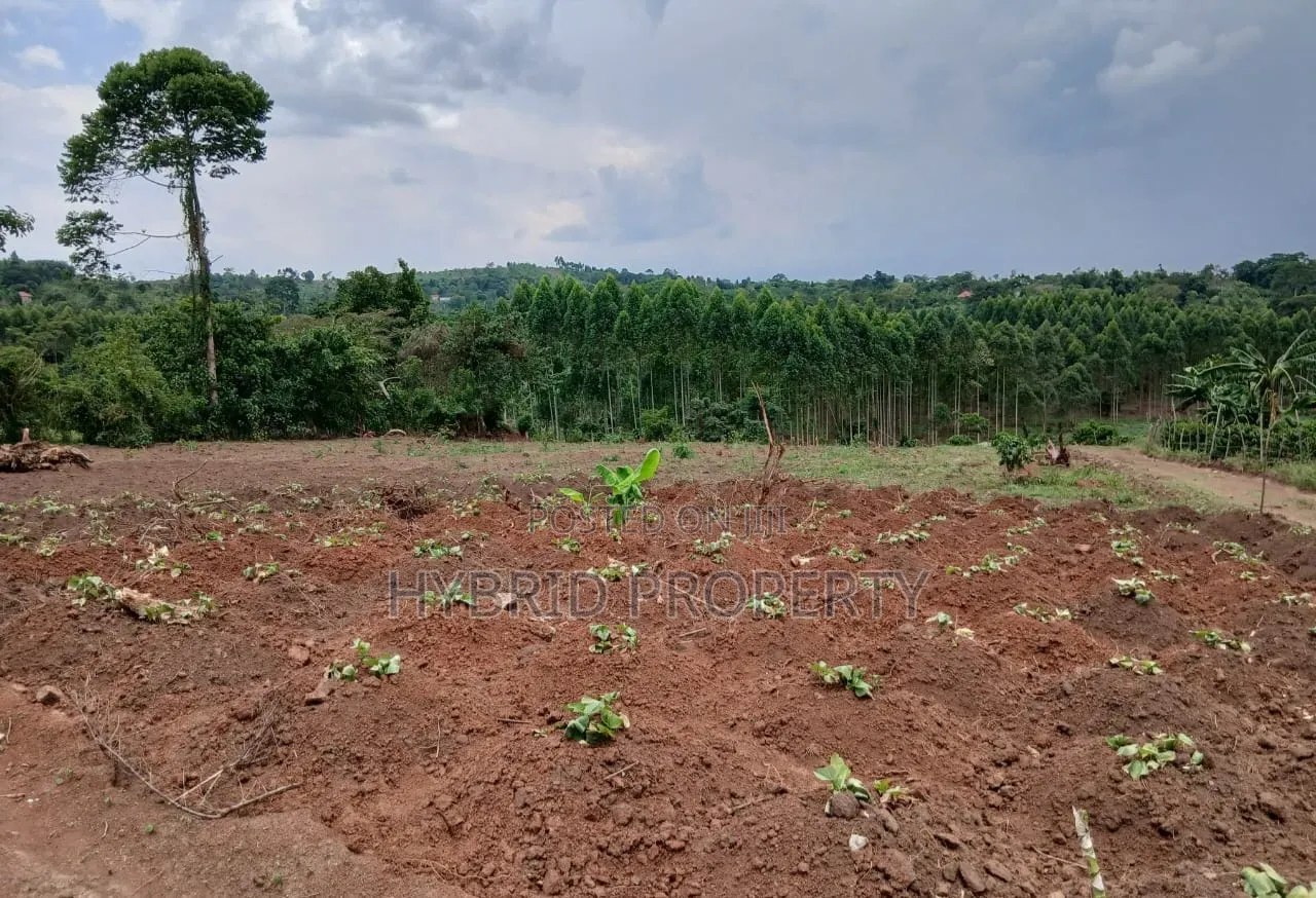 Prime Plots for Sale at Gobero~Kasude Kakiri Land Estate~Hoima Road.