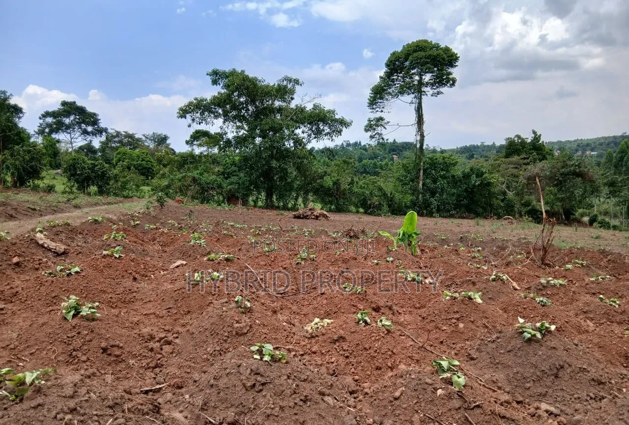 Prime Plots for Sale at Gobero~Kasude Kakiri Land Estate~Hoima Road.