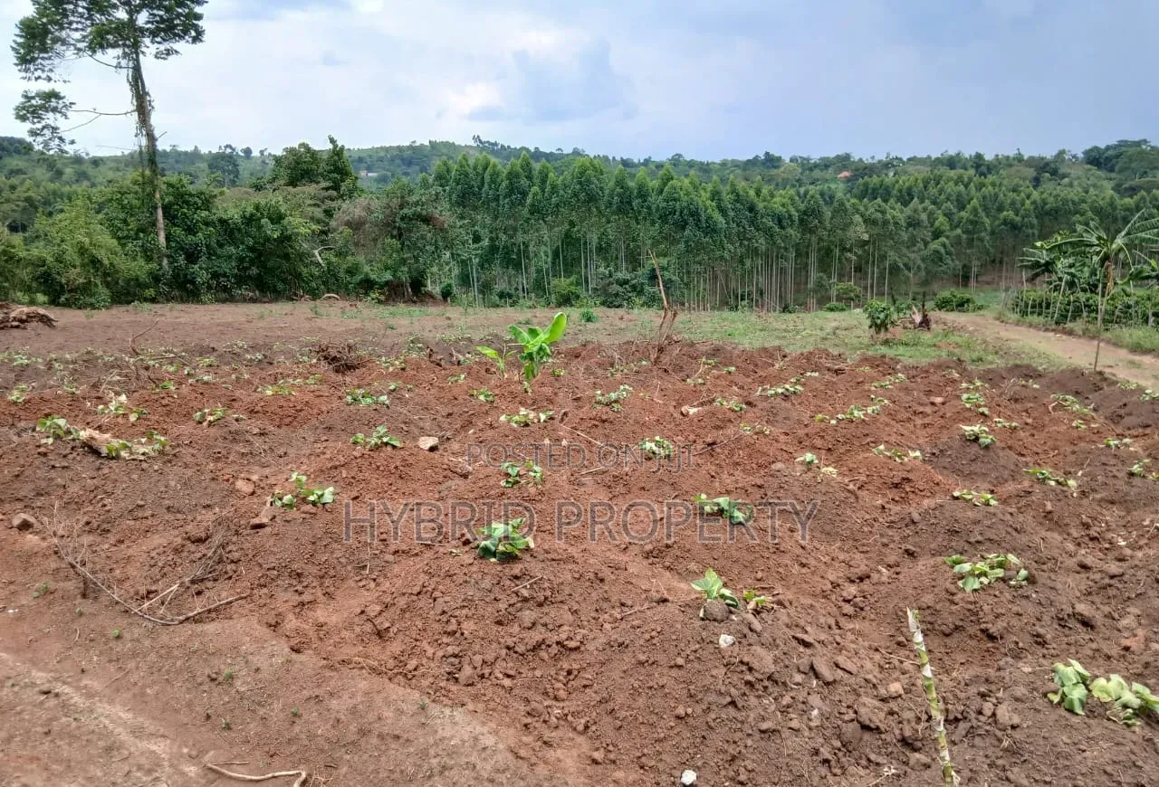 Prime Plots for Sale at Gobero~Kasude Kakiri Land Estate~Hoima Road.