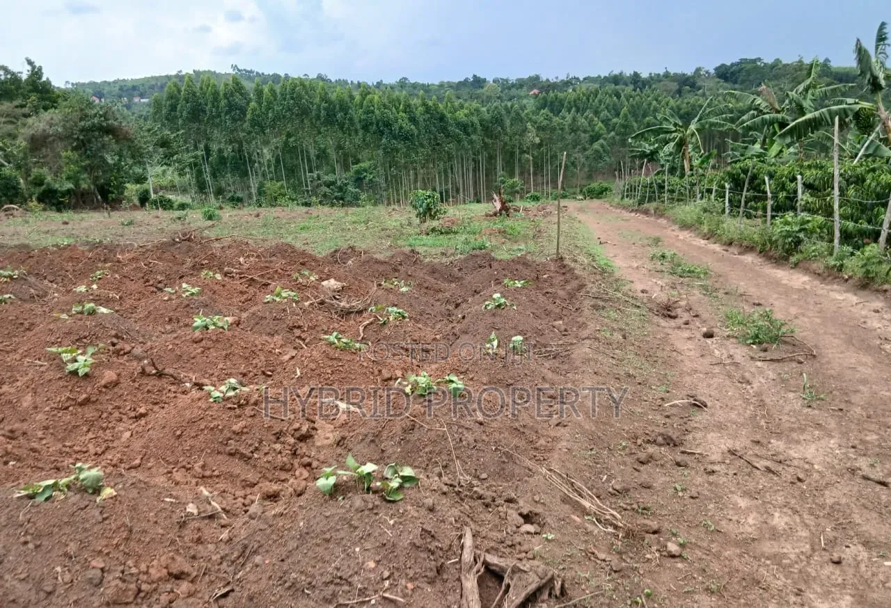 Prime Plots for Sale at Gobero~Kasude Kakiri Land Estate~Hoima Road.